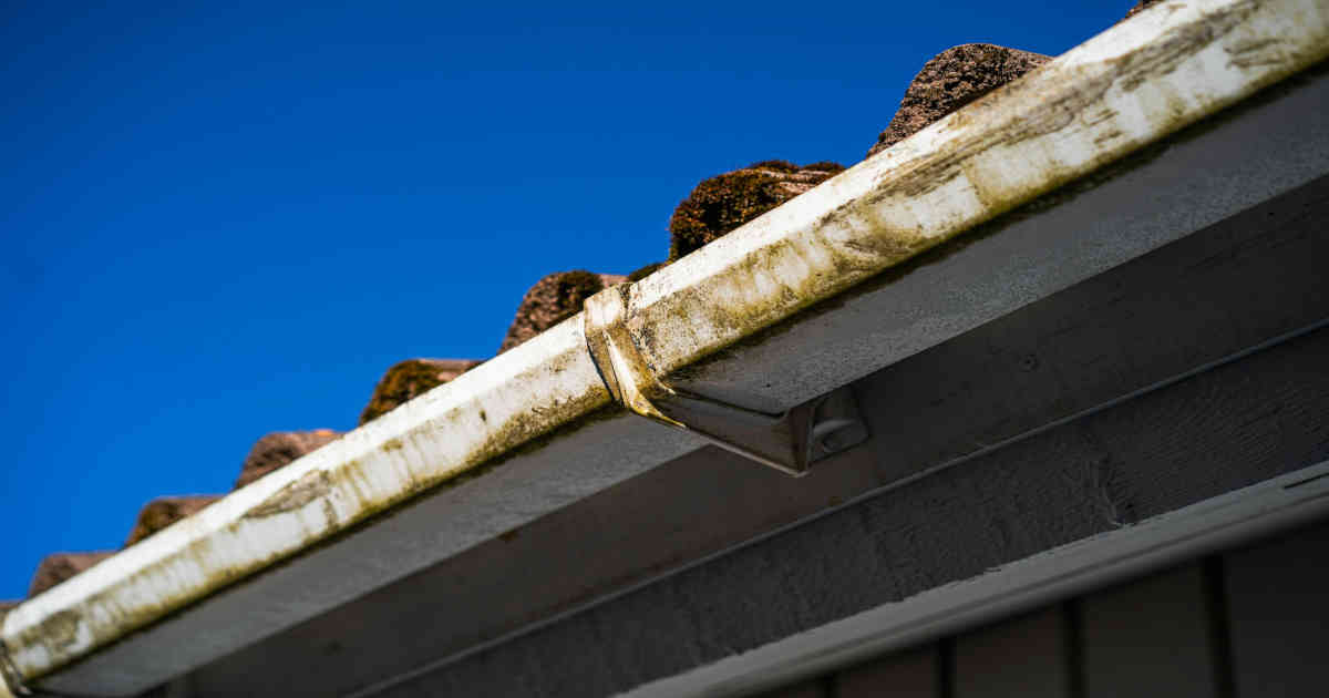 Dirty gutters